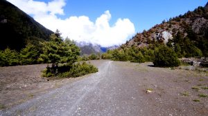 Annapurna Circuit Upper Pisang