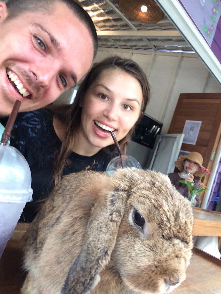 Bunny Cafe in Pai