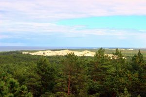 Słowiński-park-dunes