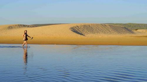 Dunes at Praia Da Bordeira