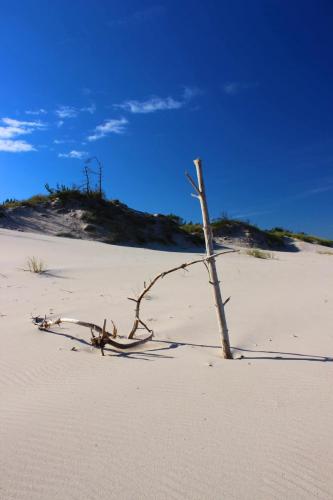 Słowiński-park-beach2